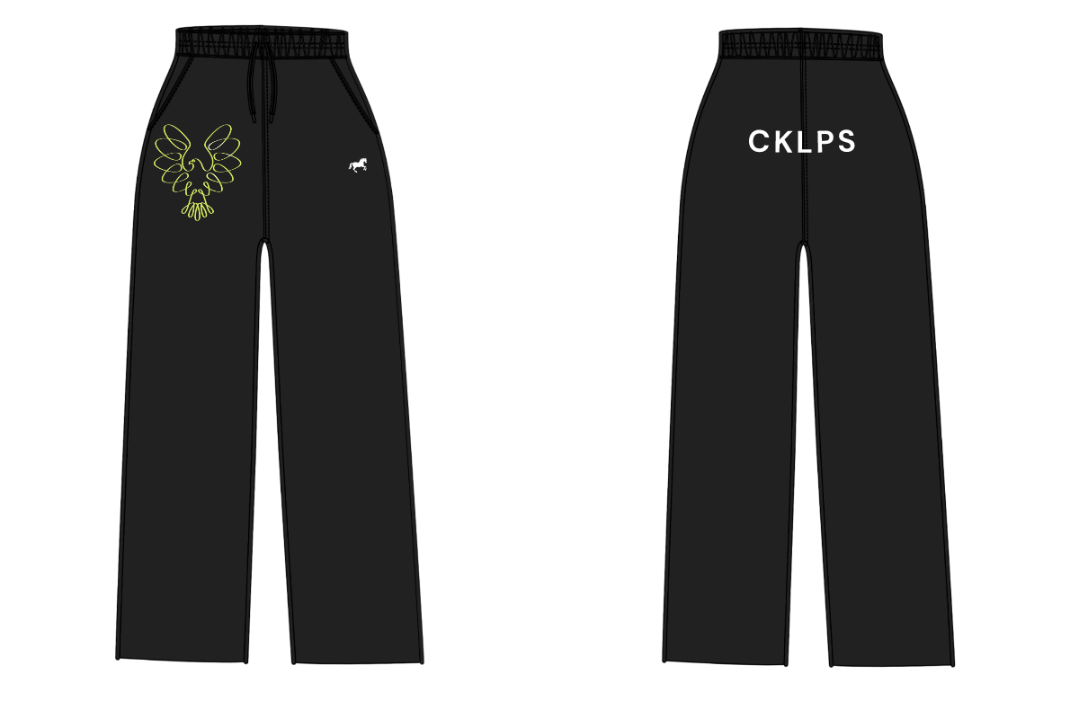 variant-6
